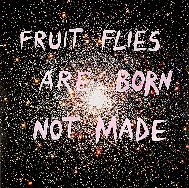 Fruit Flies are Born not Made